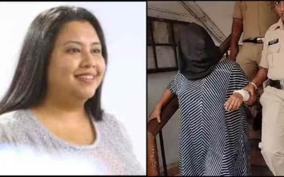 Goa court allows plea for mental health check-up of start-up CEO Seth held for killing her son