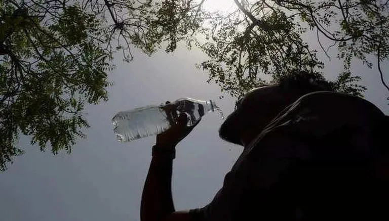 2022 fifth warmest year for India since 1901: IMD