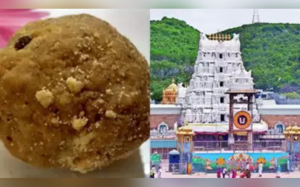 Adulterated ghee in Tirupati laddus not sourced from contracted Tamil Nadu dairy: Reports