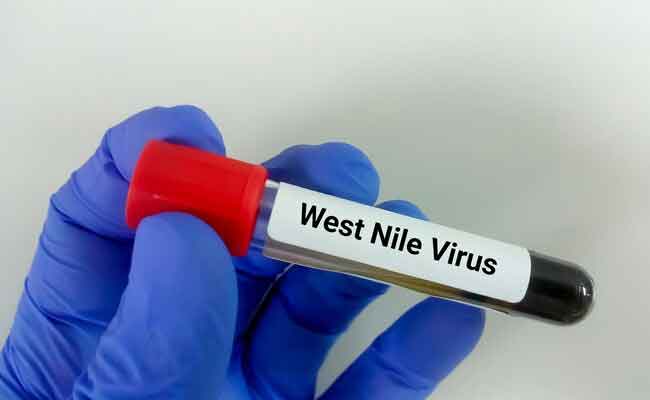 Five cases of West Nile fever confirmed in Kerala; all infected healthy