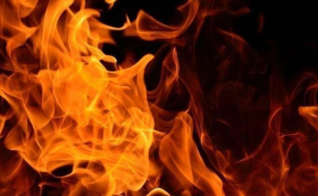 Blaze at Mumbai timber market, charred body of man found at spot