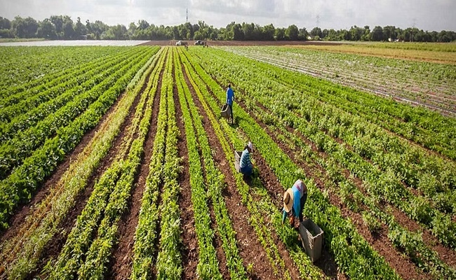 IMD decides to shut down all 199 district agromet units across country