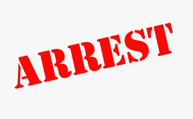 Web designer selling Diljit Dosanjh's concert tickets on fake Zomato website arrested