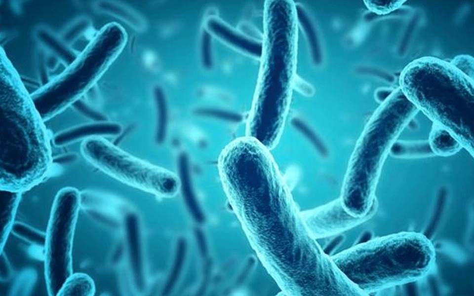 Five bacteria types claimed 6.8 lakh lives in India in 2019: Lancet study