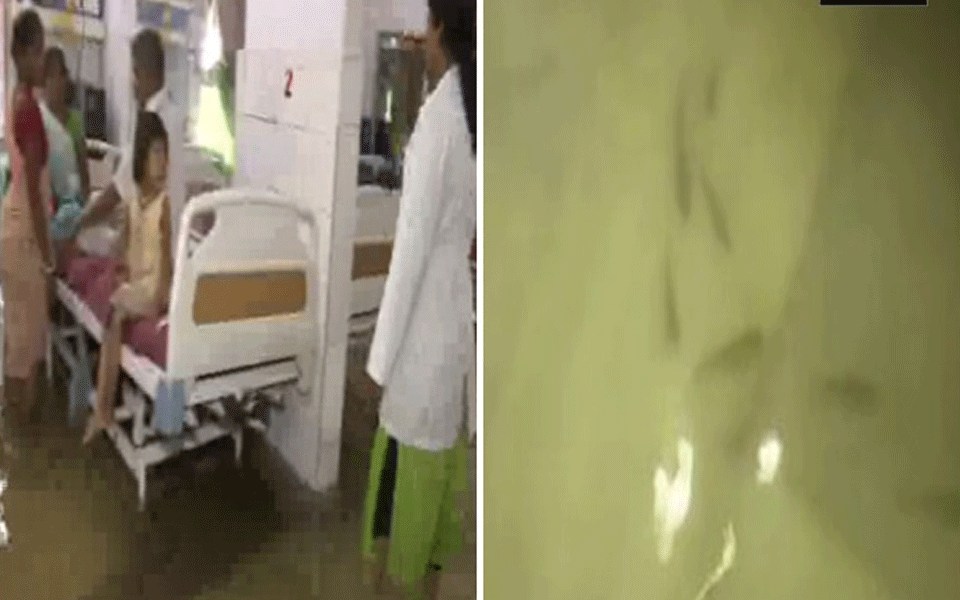 Bihar: Hospital flooded with rainwater, fish swim inside ICU