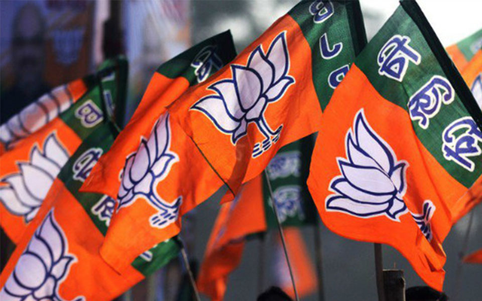 Ministry denies info on land allotment for new BJP HQ in Delhi: Activist