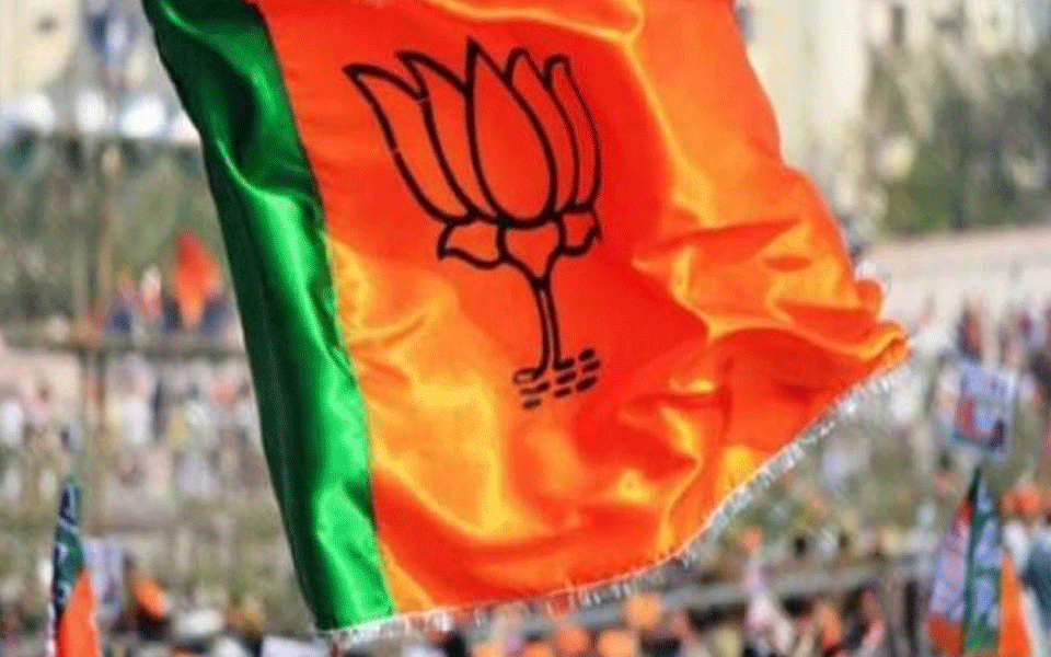 Madhya Pradesh BJP leader lands in row over chat messages