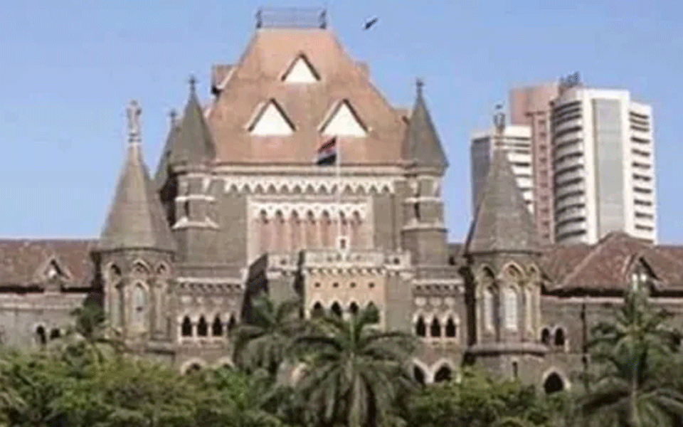 Bombay HC fines advocate Rs 25,000 for submitting objectionable photos with plea