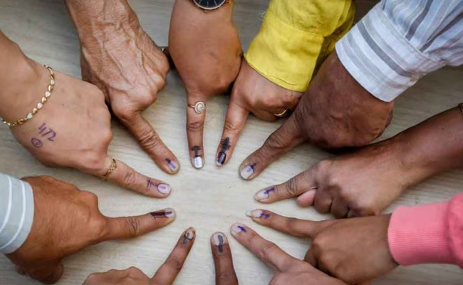 Bypoll: Wayanad witnesses brisk polling