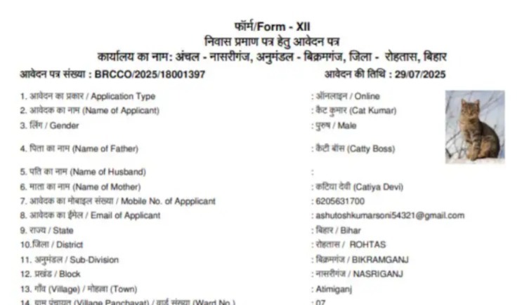After ‘Dog Babu’, ‘Cat Kumar’ seeks residence certificate in Bihar