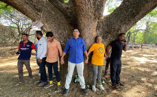Green activists stage `Chipko' agitation to protest tree cutting for river front development in Pune