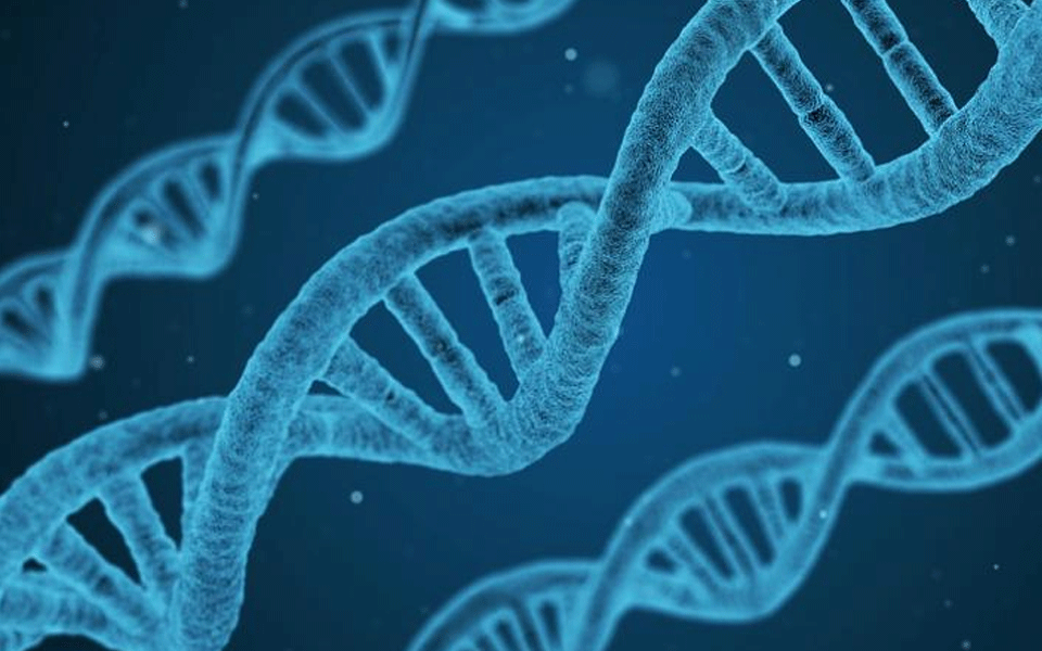 Bill in LS for use of DNA technology to crack tough criminal cases