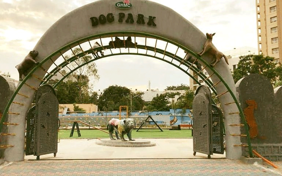 Country's first-ever park for dogs opened in Hyderabad