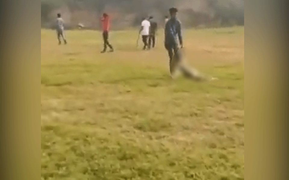 Mob of students beats pregnant dog to death in south-east Delhi, video goes viral on internet