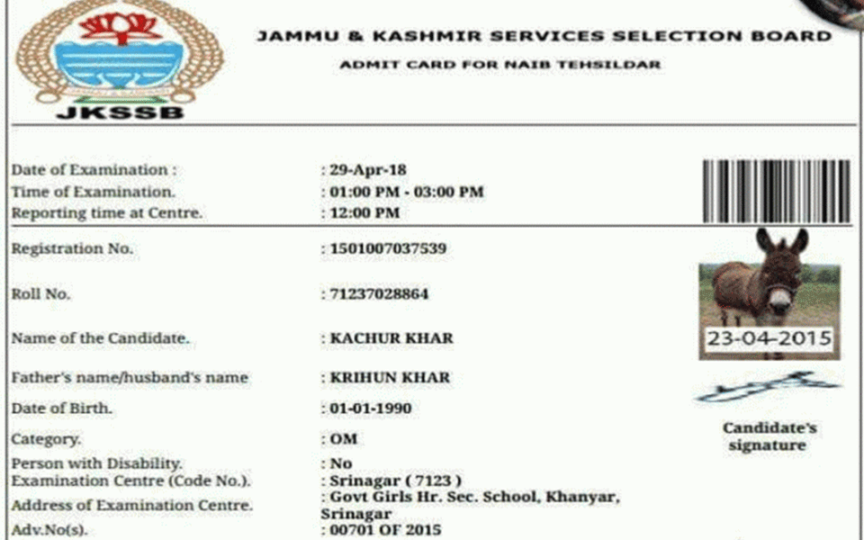 Admit card issued to donkey for J&K govt recruitment exam