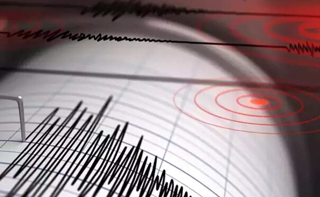 4.5 magnitude earthquake hits Maharashtra's Hingoli; no casualty