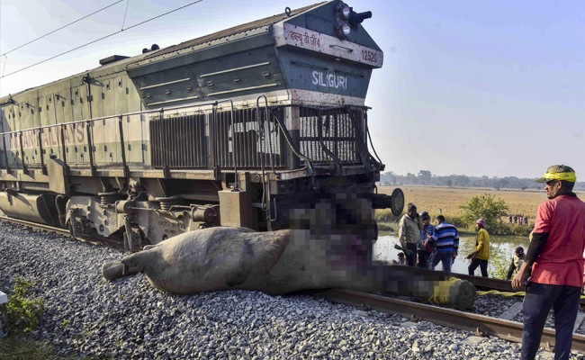 Over half a dozen passenger trains cancelled for three days due to elephant movements