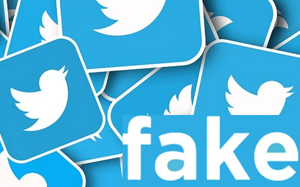 Twitter suspends two fake accounts run in EC's name