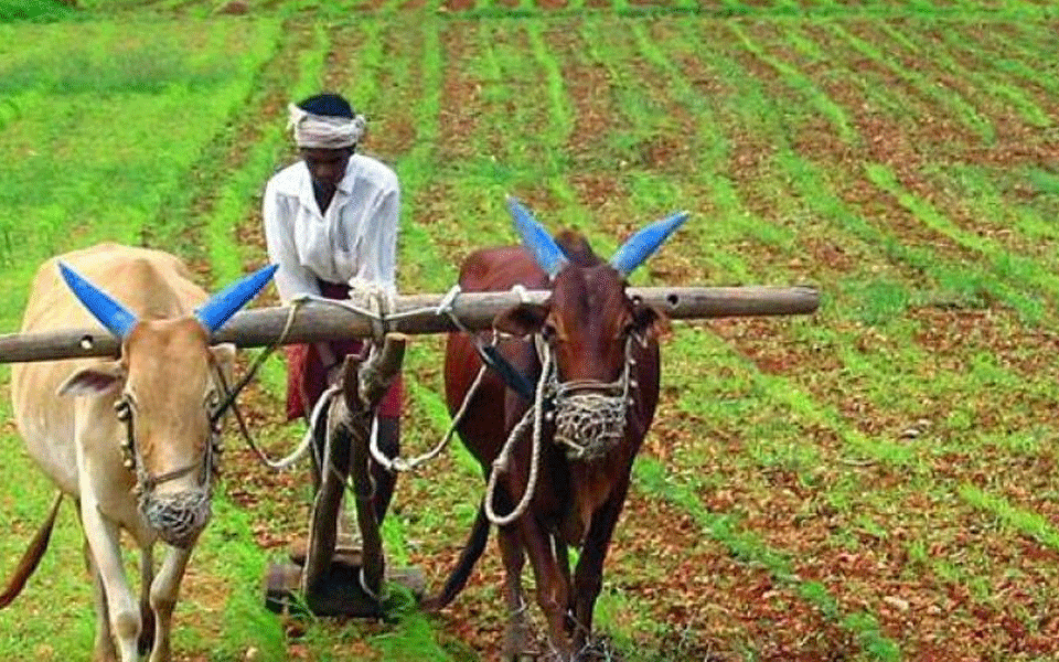 Farmer gets social boycott threat by village panchayat for damage to deity idol; 9 booked