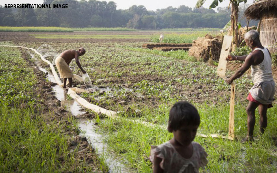 Farmers' associations can help fight poverty: Experts