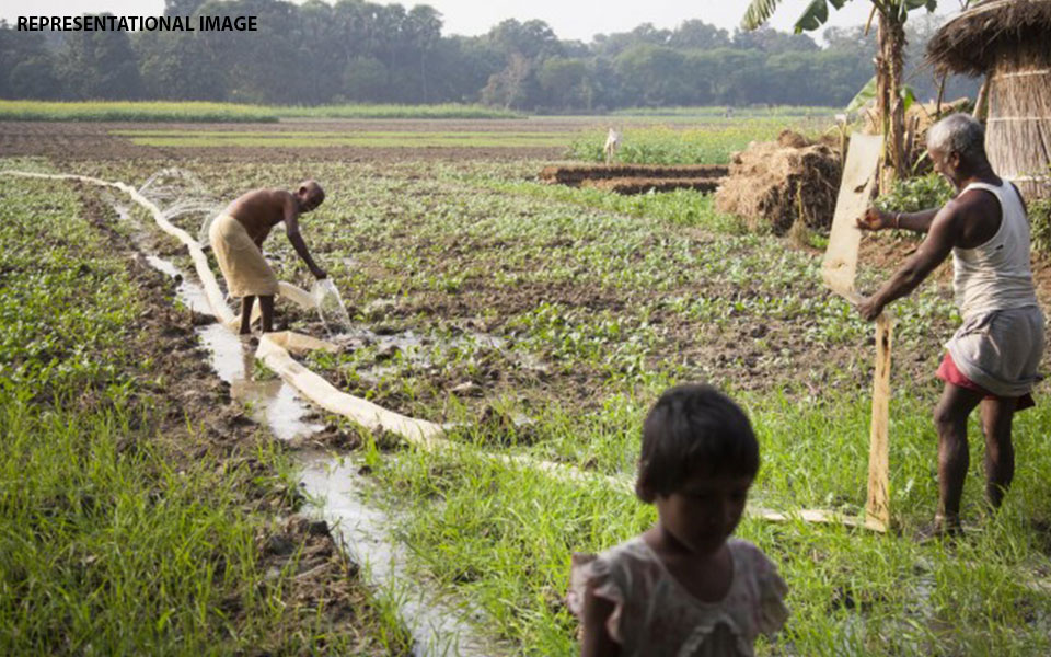20,000 Bihar farmers get input subsidy for organic farming