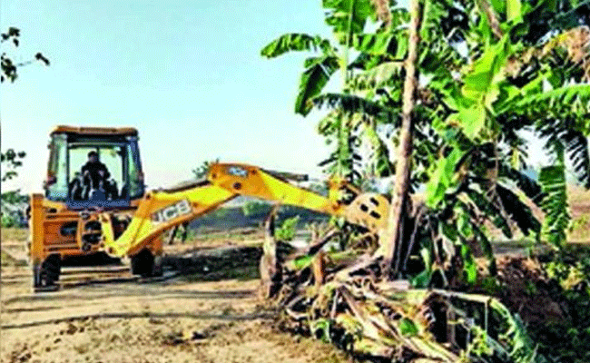 Assam: 90 pc of Pabha forest freed from encroachment