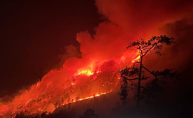 Arunachal: Army contains wildfire along Sino-India border