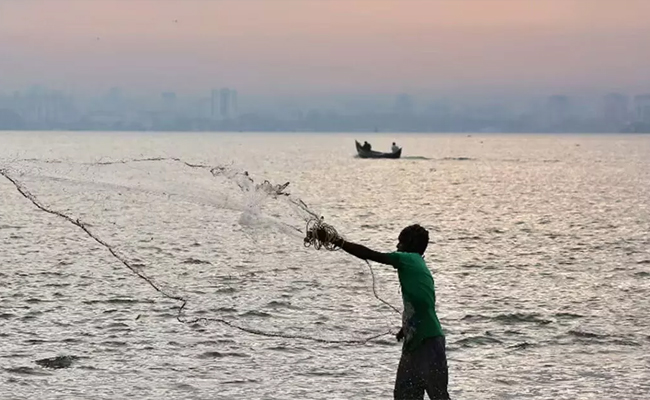 Lakshadweep hosts first-ever investors' meet to unlock fisheries, aquaculture potential