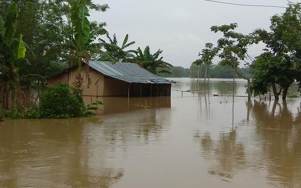 Six more die in Assam floods, over 5.5 lakh still marooned