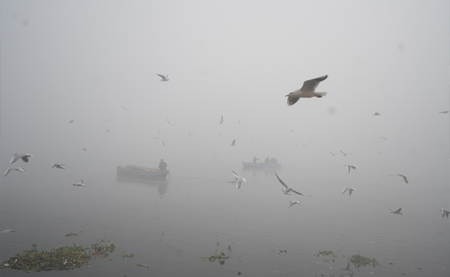 Delhi sees dense fog, lowest minimum temperature of season; air quality 'severe'