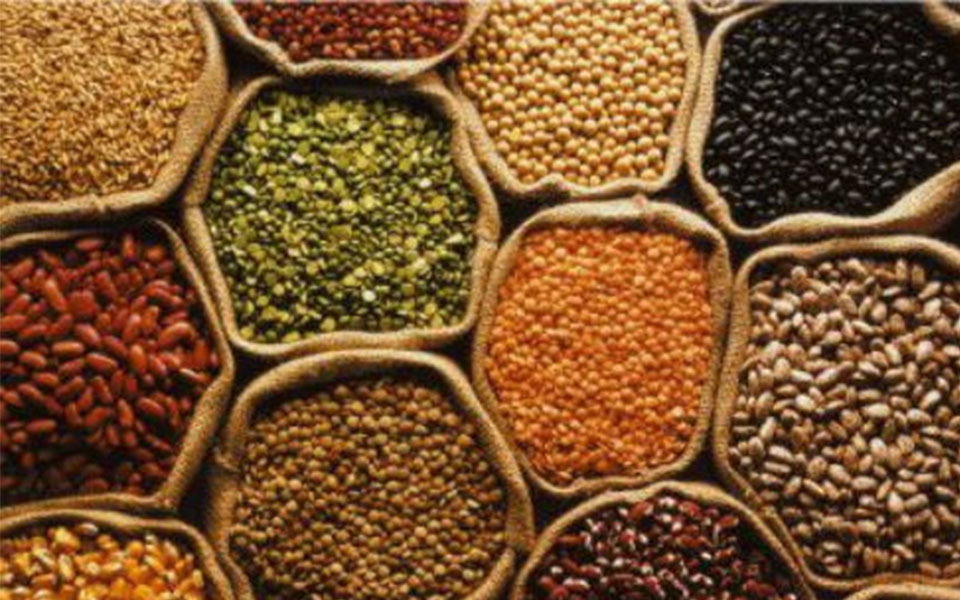 Hostel students from SC, ST, OBC families to get subsidised foodgrain