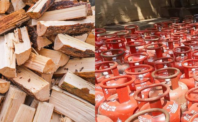 Uttarakhand readies firewood supply for businesses amid LPG shortage