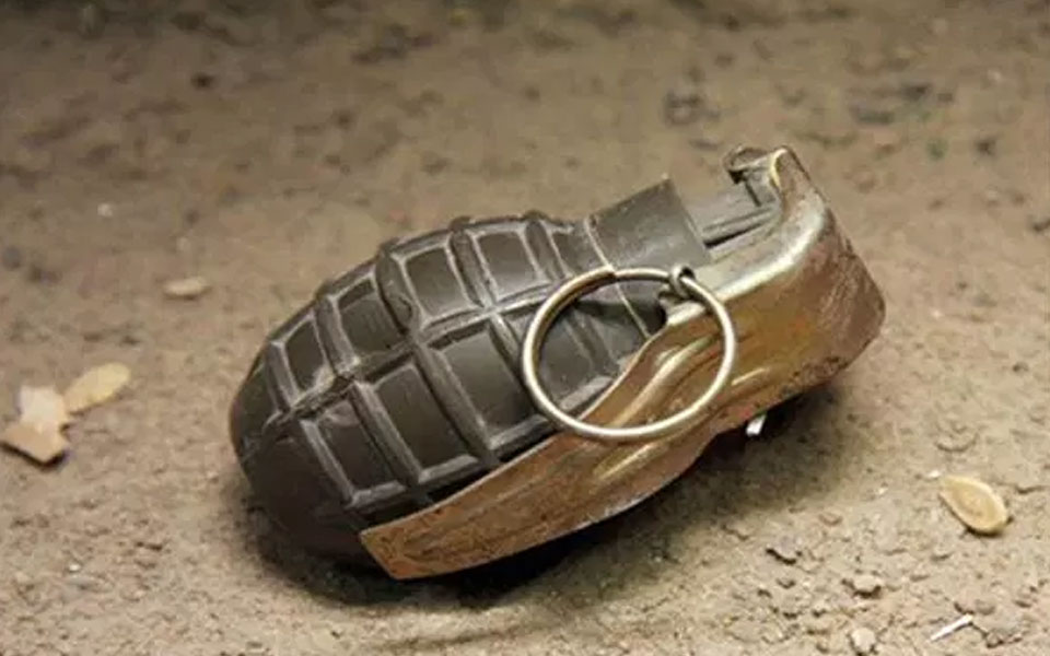 Toy grenade hurled at Shopian DM's residence