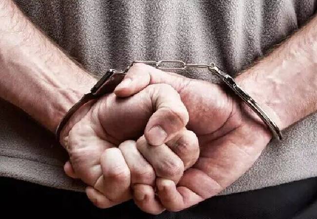 NRI booked for wife's suicide in Sharjah detained at airport, handed over to police