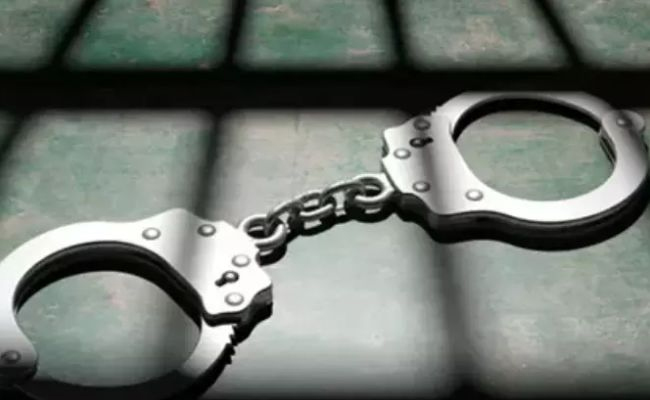 Over 2 kg cannabis seized at Chennai airport; woman passenger held