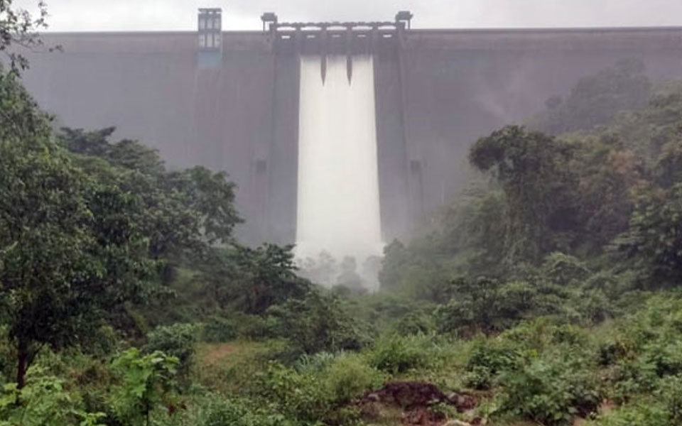 Rains intensify, all 5 floodgates of Idukki dam opened