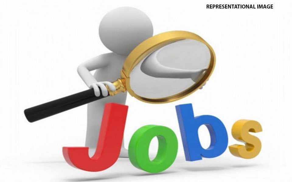 India needs payroll data system to map job creation: Assocham