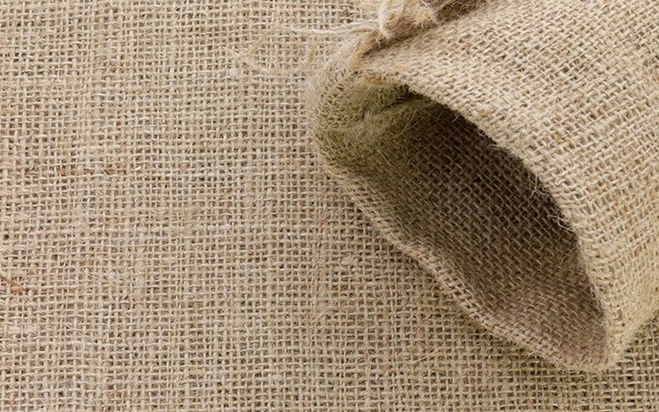 Panel suggests 100% foodgrain packaging in jute bags