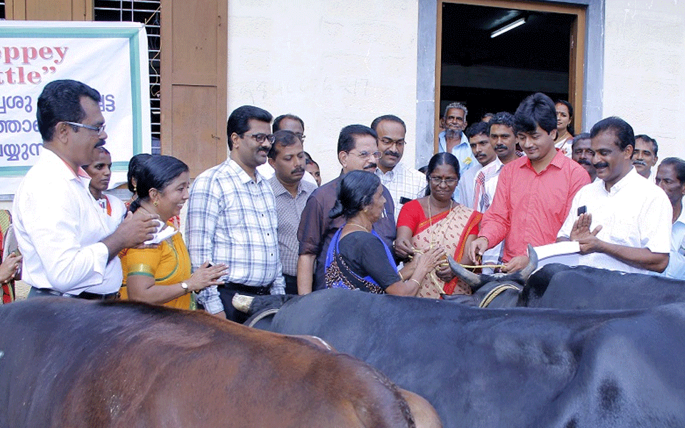 Kerala Feeds distributes free cattle feed