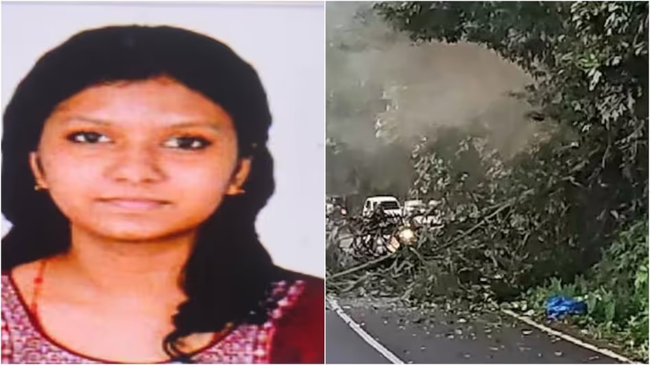 College student killed as branch of tree uprooted by elephant falls on motorbike in Kerala