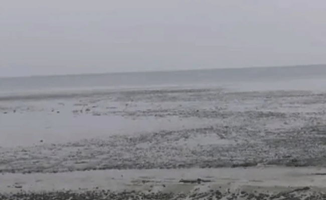 Seawater recedes at beach in Kozhikode, causes scare among locals