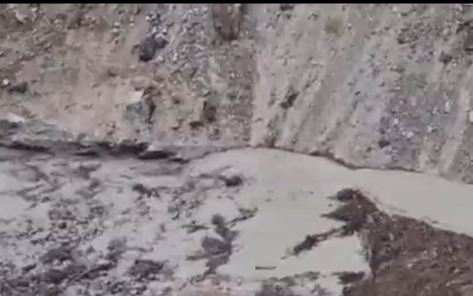 Bridge, standing crops damaged in flash floods in Ladakh