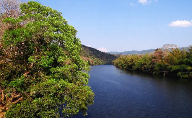 Telangana: Man arrested for drowning three minor daughters in lake