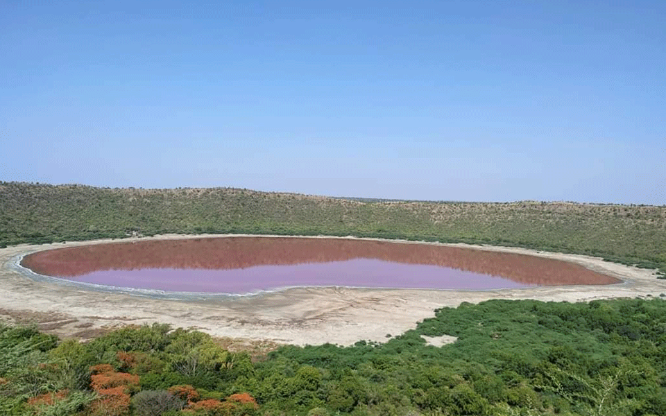 Maharashtra: Lonar lake colour changes to pink; experts, locals surprised