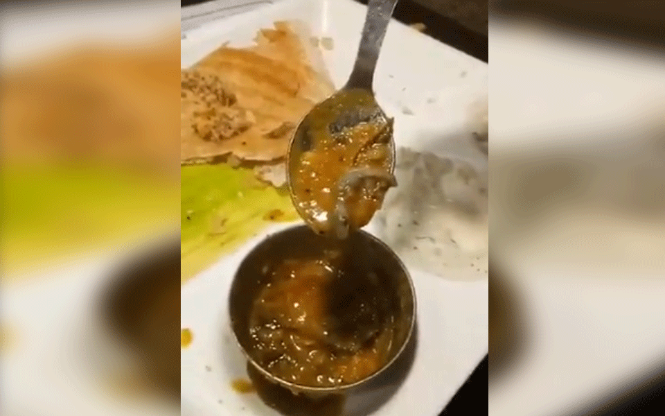 Customer finds dead lizard in bowl of ‘sambar'; FIR against Delhi restaurant