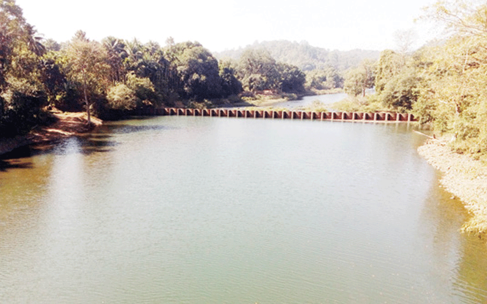 'Mhadei water diversion would hit drinking water, tourism, environment of Goa'