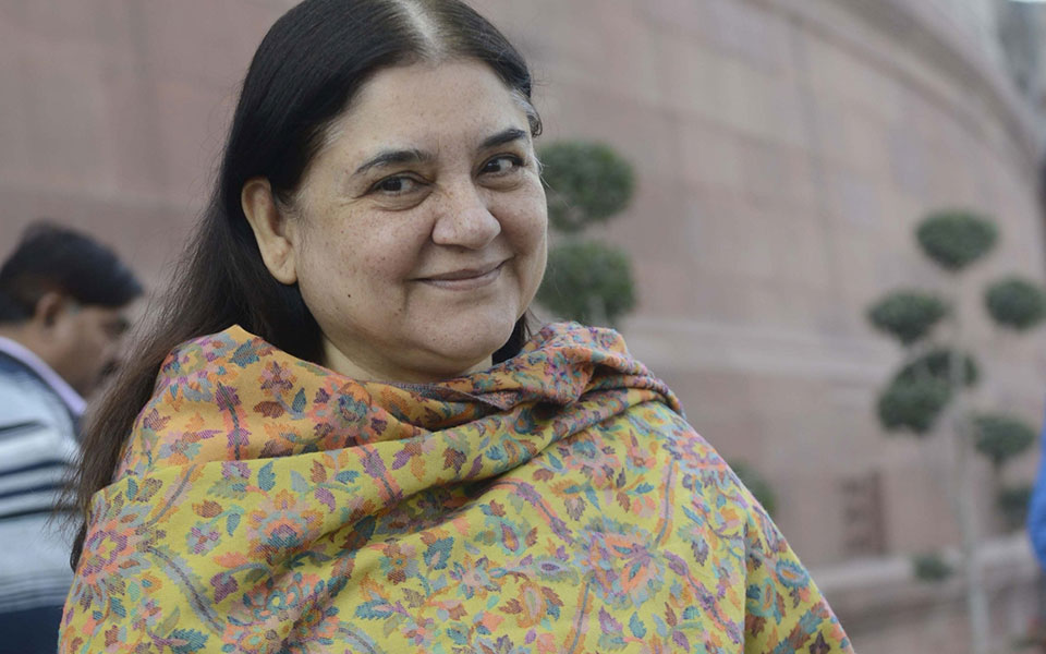 Don't tax gifts to wives, daughters-in-law: Maneka Gandhi