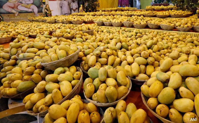 Advocate finds copy of century-old Thane court order in mango theft case