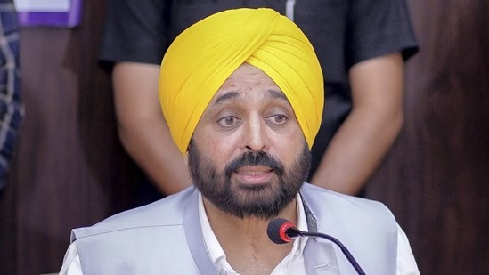 Punjab CM Mann's 'one nation, one husband' remark sparks controversy; 'disgraceful', says BJP
