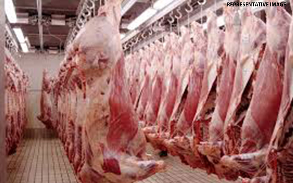 Carcass meat samples found 'unfit for examination'